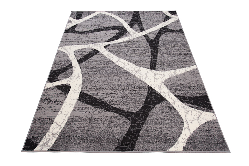 Teppich Dream Grau Schwarz Modern Spinnennetz