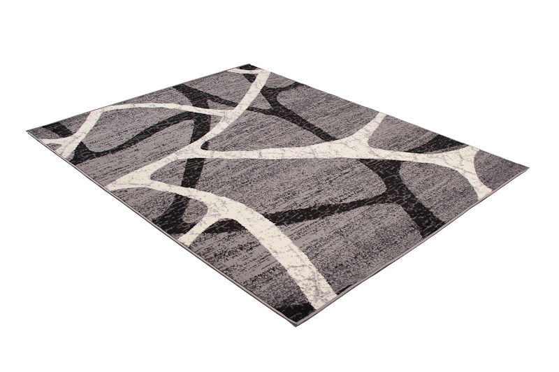 Teppich Dream Grau Schwarz Modern Spinnennetz