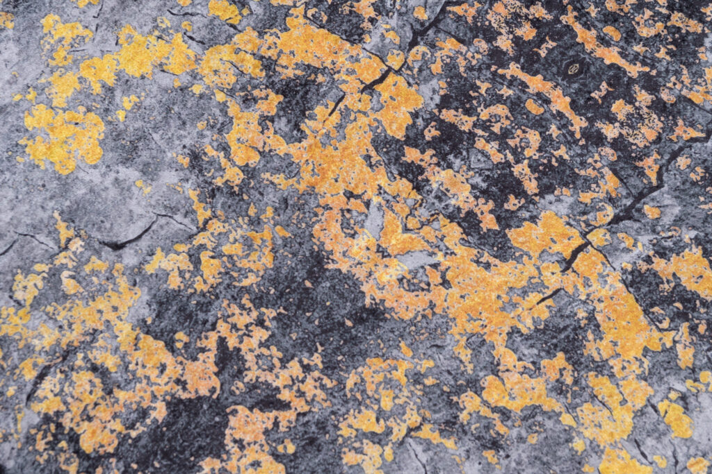 Teppich Victoria Abstrakt Dunkelgrau Orange