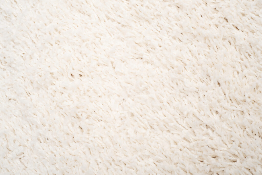 Teppich Boho mit Fransen Creme Shaggy