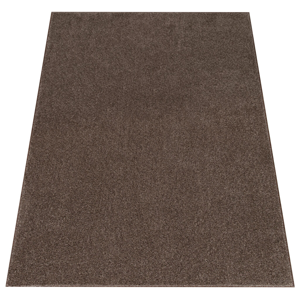 Teppich Noyan Braun Modern Antirutsch