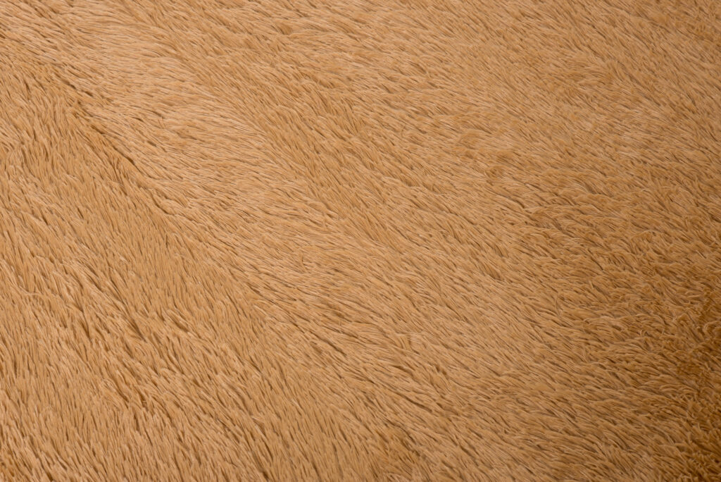Teppich Silk Beige Rutschfest Shaggy