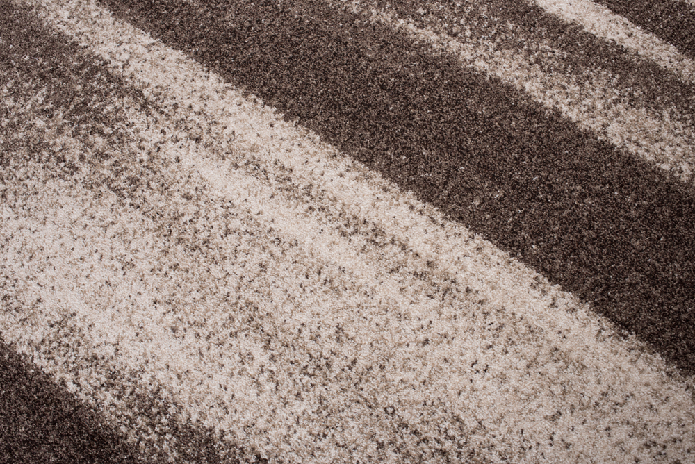 Teppich Sari Hell Braun Abstrakt