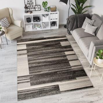 Teppich Sari Anthrazit Beige Rahmen