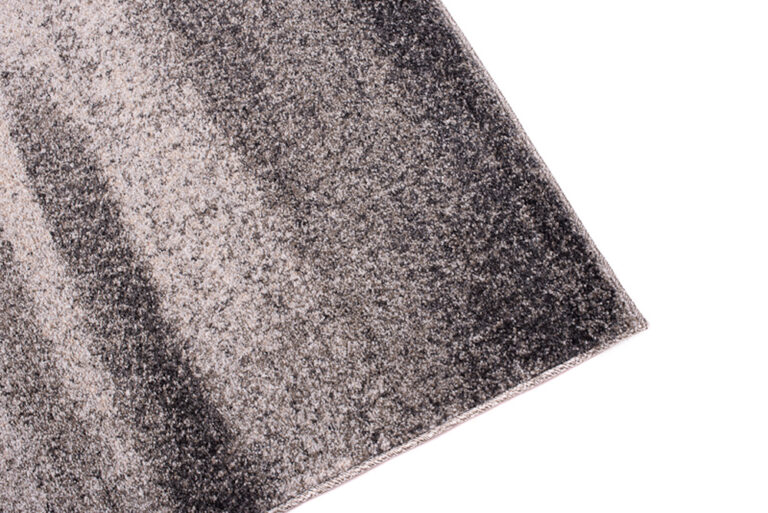 Teppich Sari Grau Abstrakt