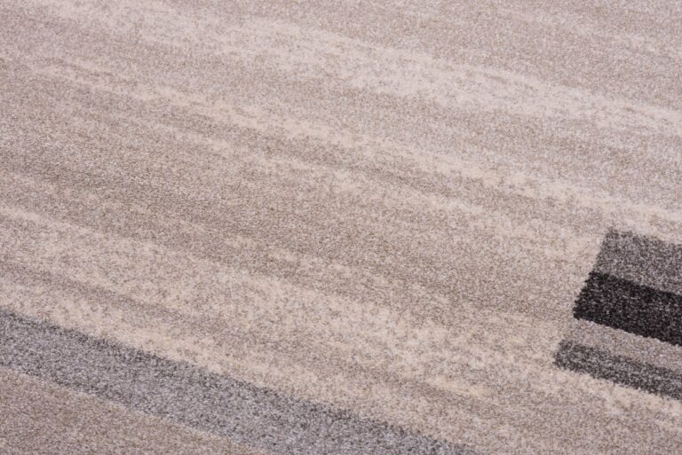 Teppich Sari Hell Beige Grau Rahmen