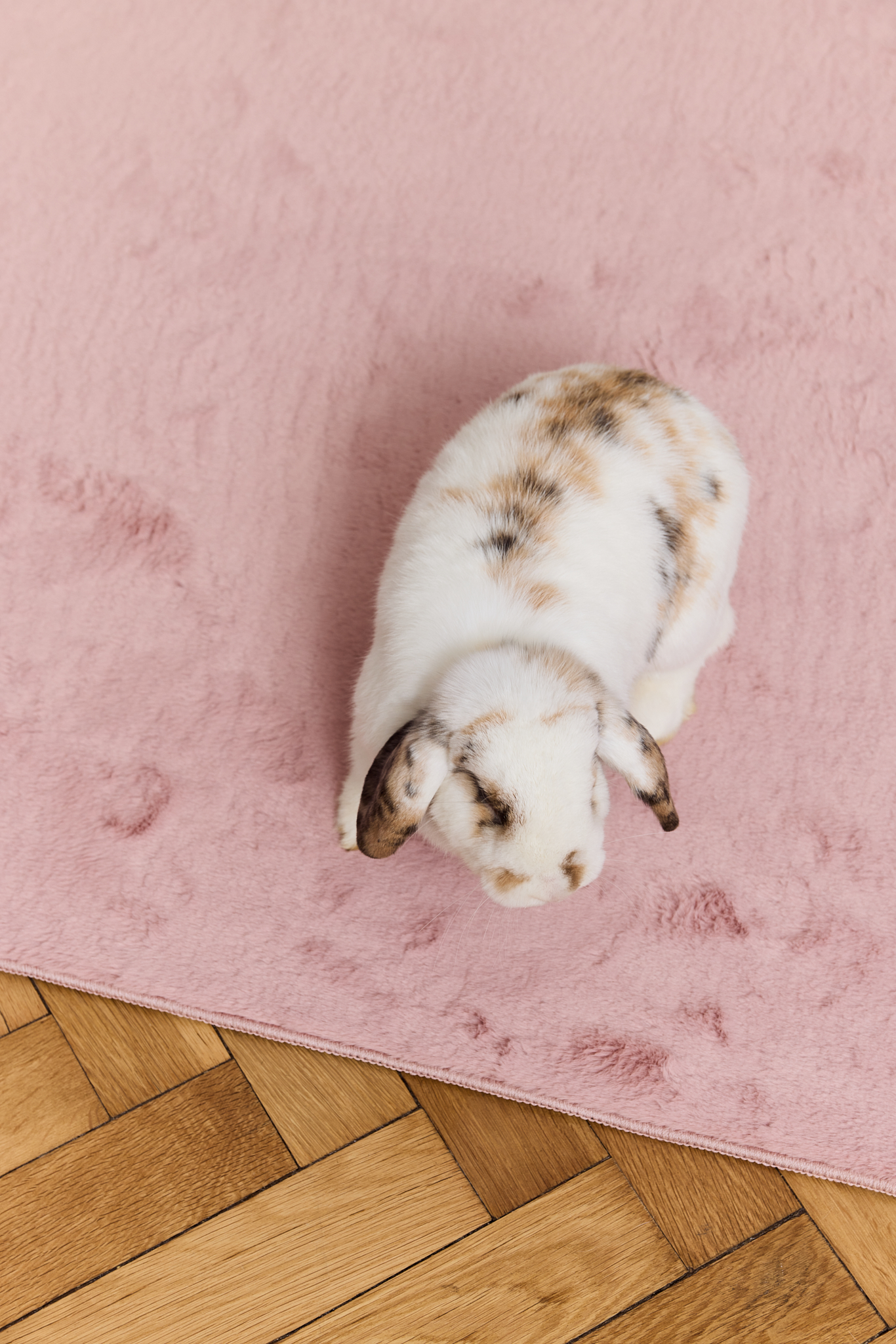 Teppich Lumi Rosa Rutschfest