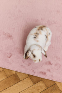 Teppich Lumi Quadratisch Rosa Rutschfest