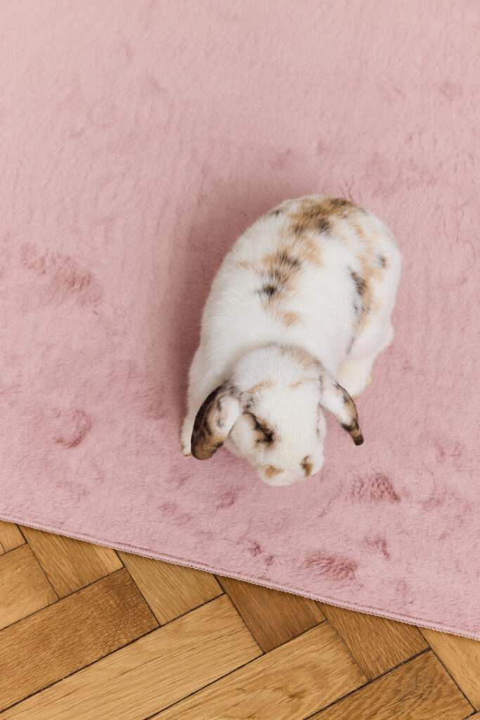 Teppich Lumi Quadratisch Rosa Rutschfest