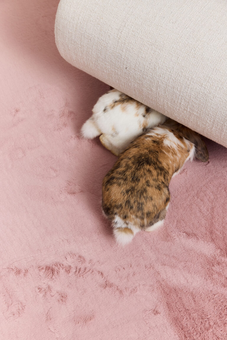 Teppich Lumi Rund Rosa Rutschfest