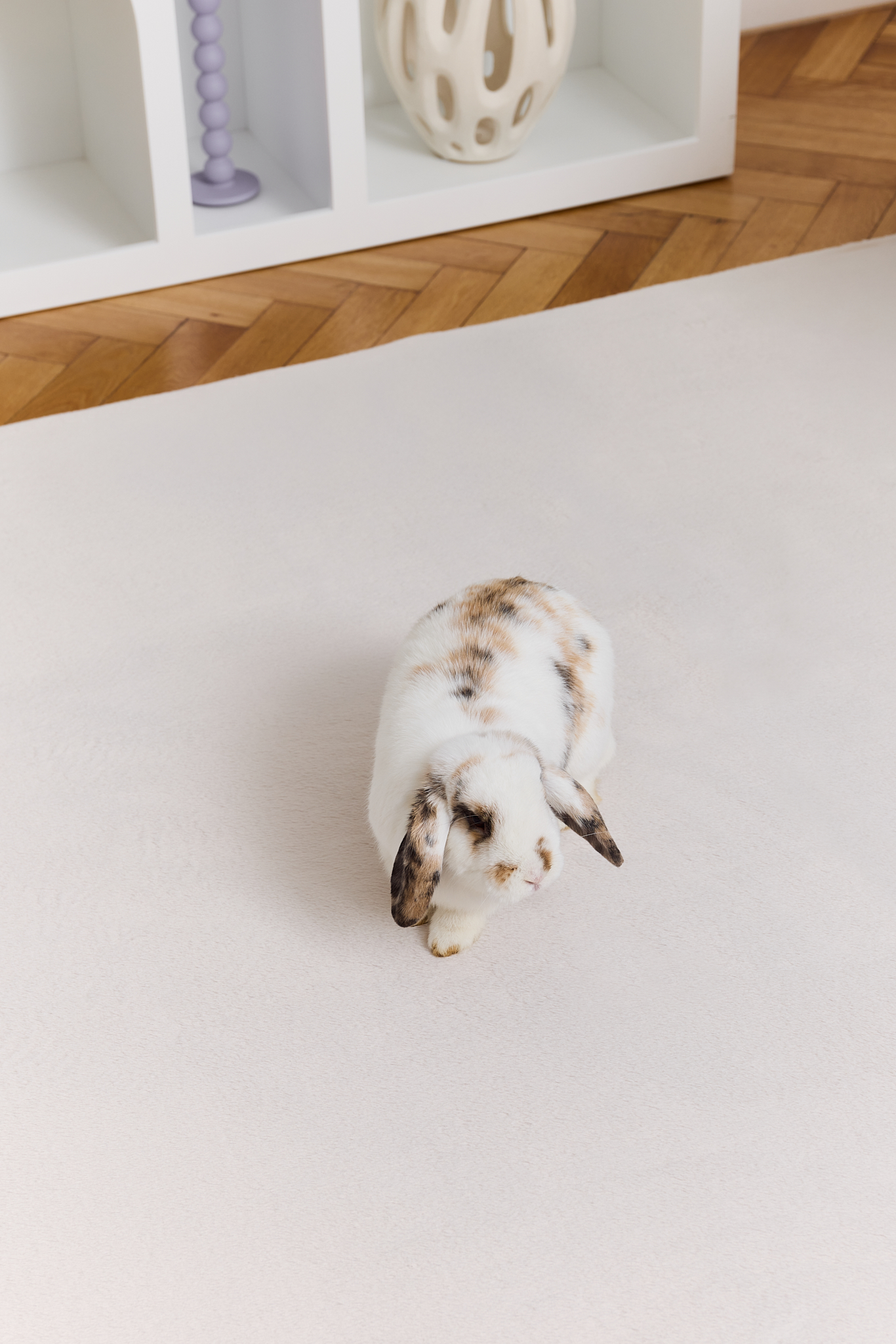 Teppich Lumi Quadratisch Creme Rutschfest
