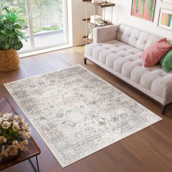 Teppich Valley Grau Beige Ornamente Rahmen