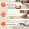Rug Cleaner Universeller Teppichreiniger