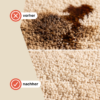 Rug Cleaner Universeller Teppichreiniger