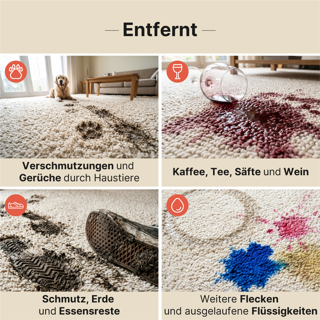 Rug Cleaner Universeller Teppichreiniger